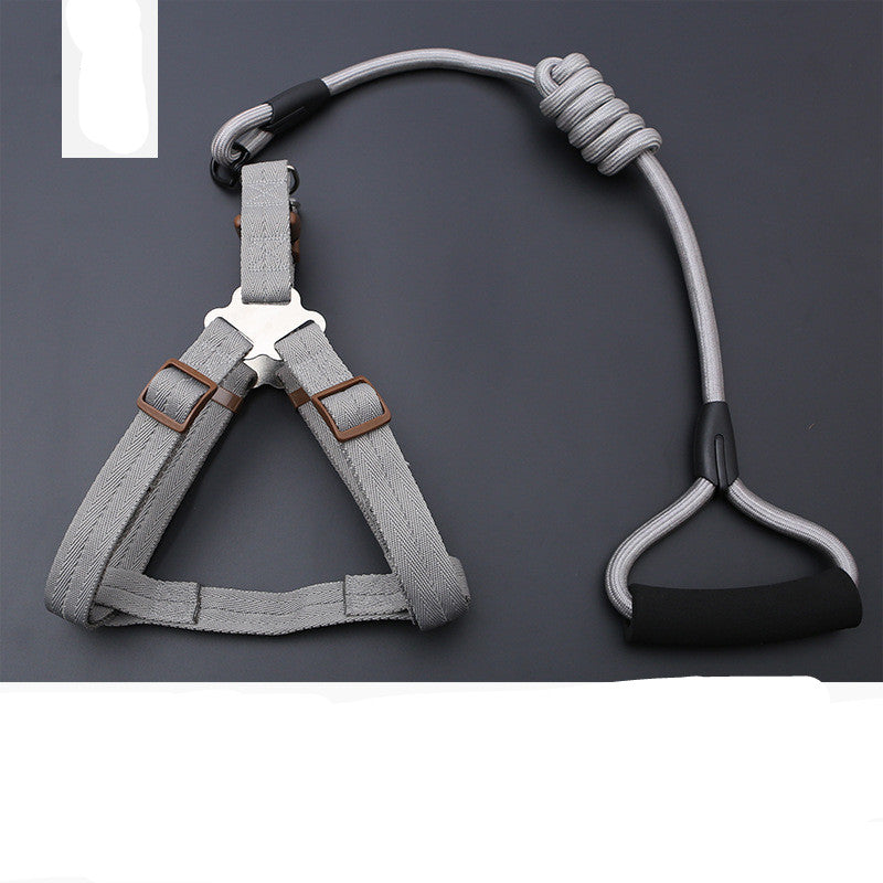 Dog Chest Harness Leash – Polyester, XS–L