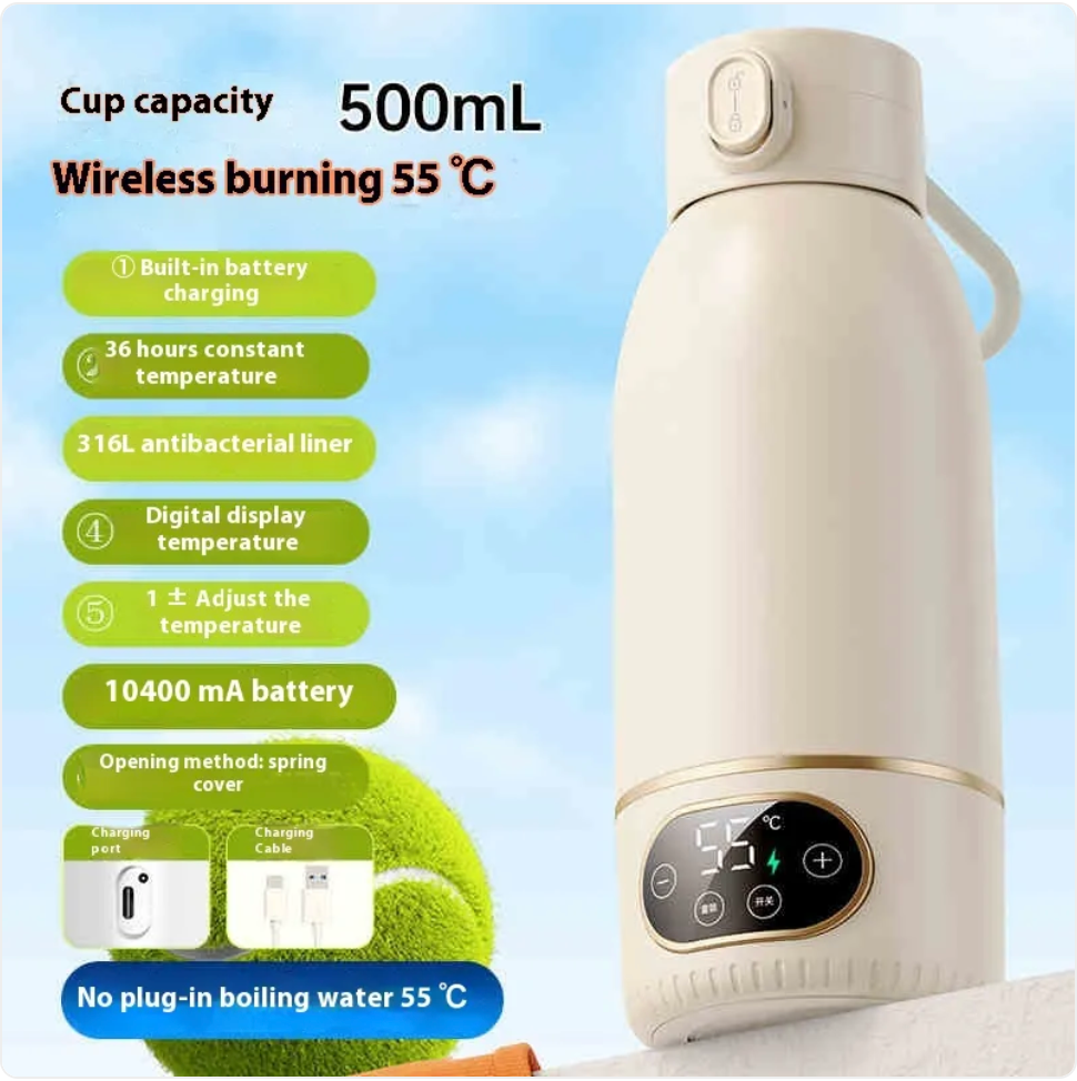 Portable Electric Kettle – Smart Temp Control, USB-C, 316 Stainless Steel
