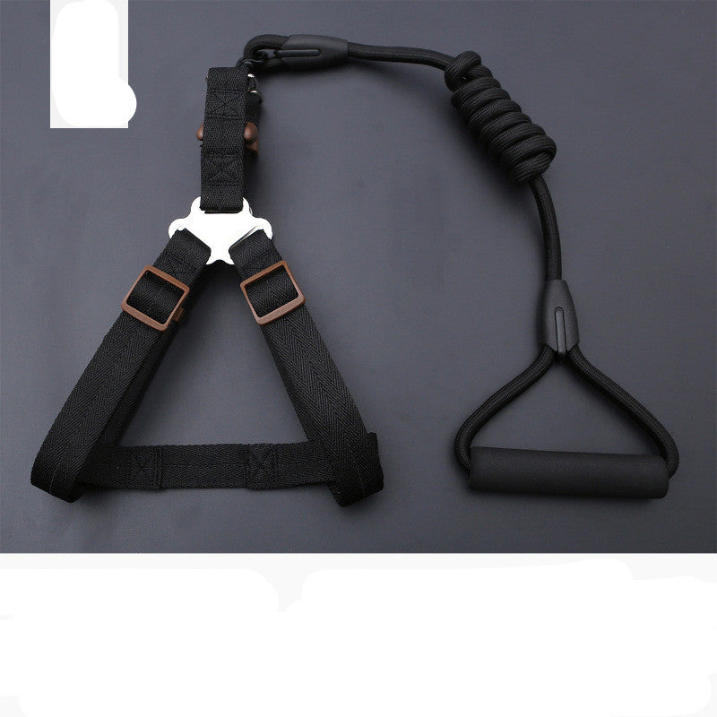 Dog Chest Harness Leash – Polyester, XS–L