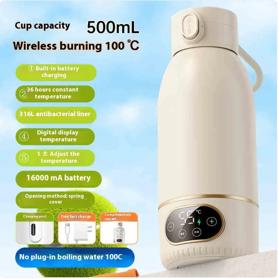 Portable Electric Kettle – Smart Temp Control, USB-C, 316 Stainless Steel