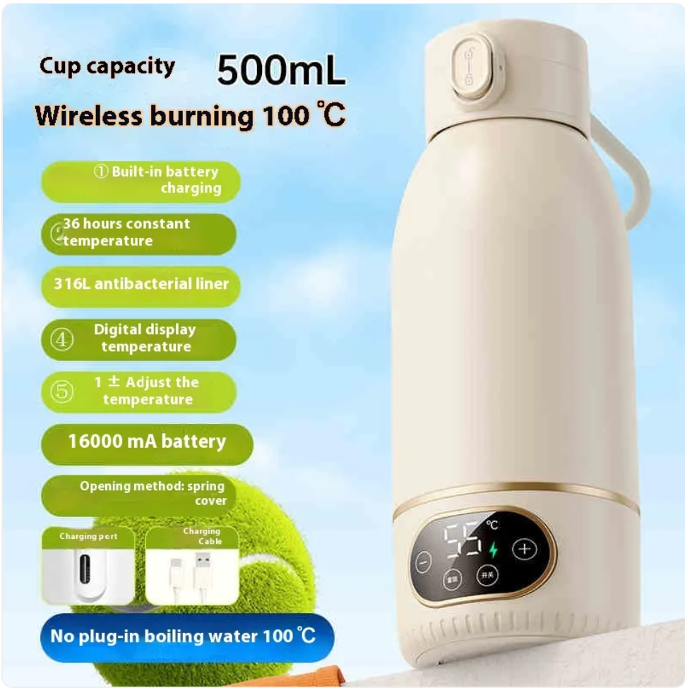 Portable Electric Kettle – Smart Temp Control, USB-C, 316 Stainless Steel