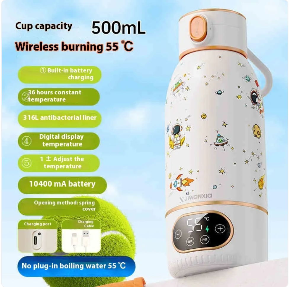 Portable Electric Kettle – Smart Temp Control, USB-C, 316 Stainless Steel