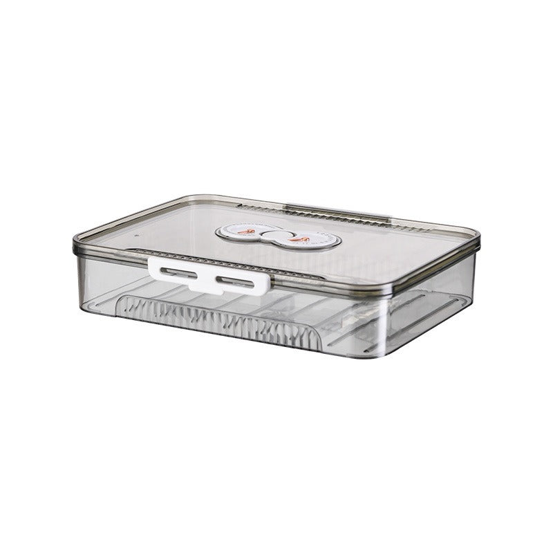 Freezer-Safe Dumpling Storage Box – Airtight PET Food Container