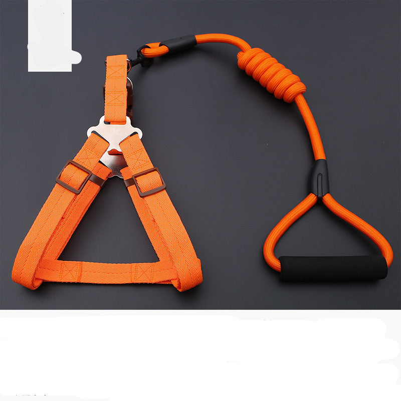 Dog Chest Harness Leash – Polyester, XS–L